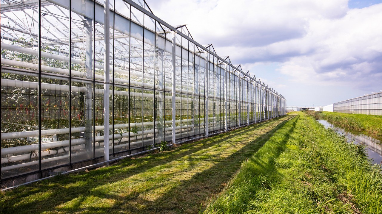 Сельхозпроизводители немало вкладывают в успех своего бизнеса