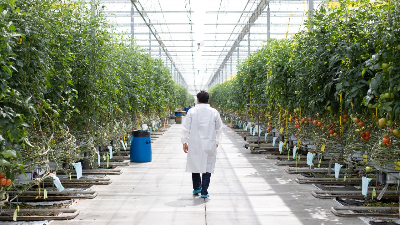 Как наши технологии помогают быстро меняться