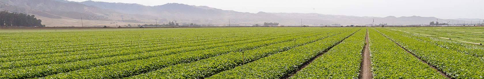 Здоровье урожая для здоровья всего мира