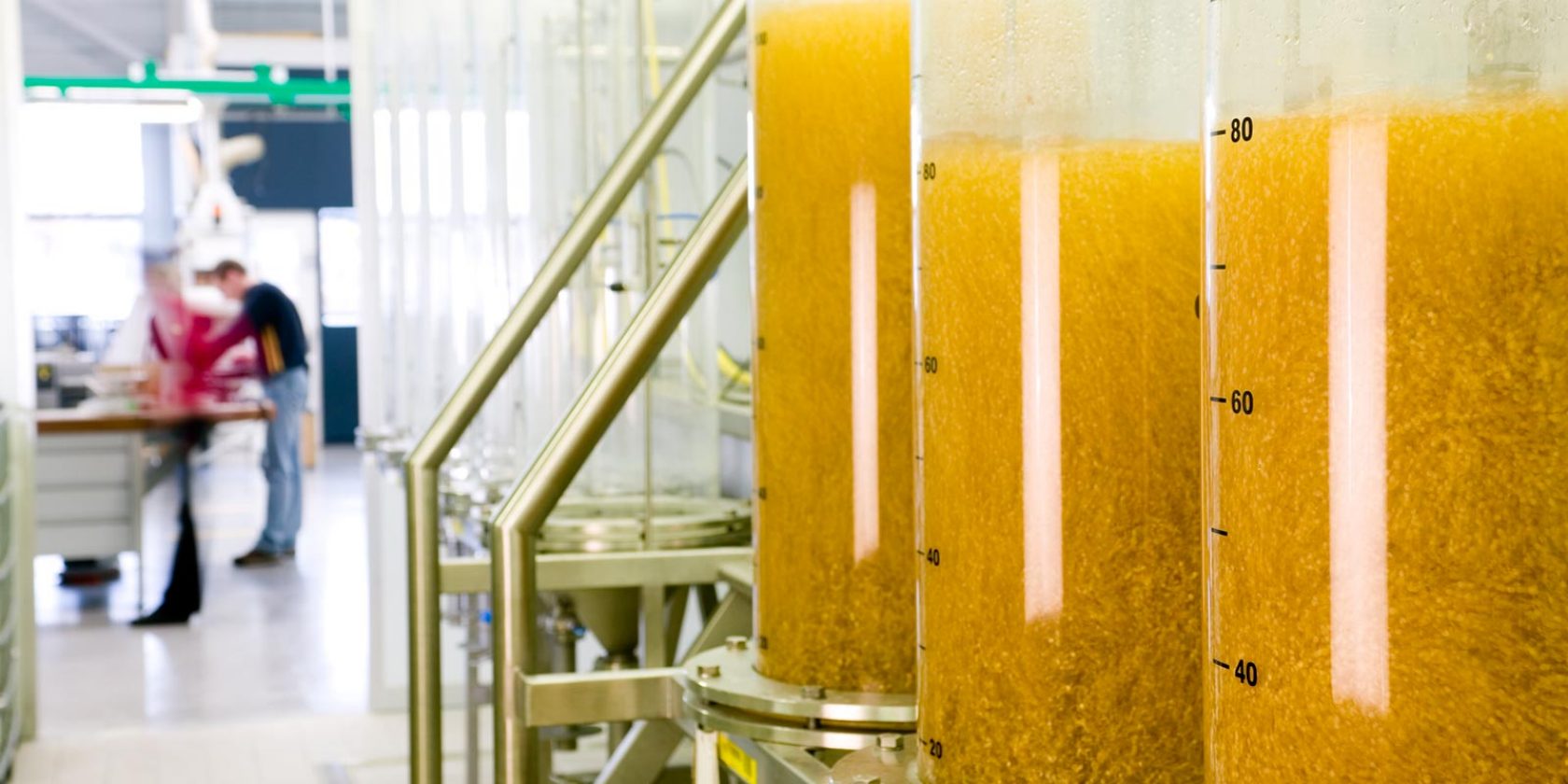 Здоровье семян