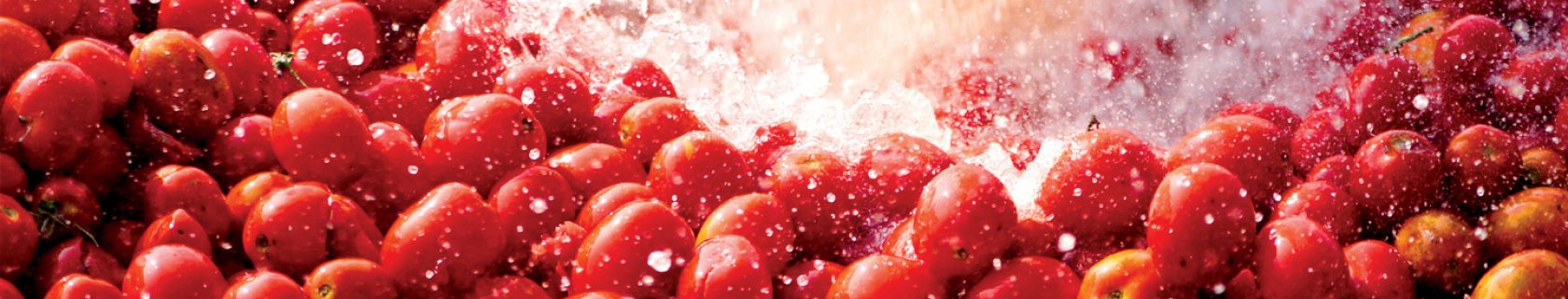 Наше партнерство с перерабатывающими производствами.