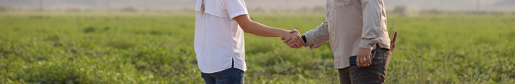 Связаться с нами