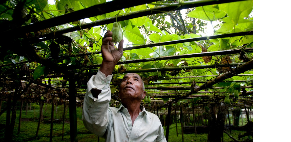 Широкий ассортимент. Простая миссия.