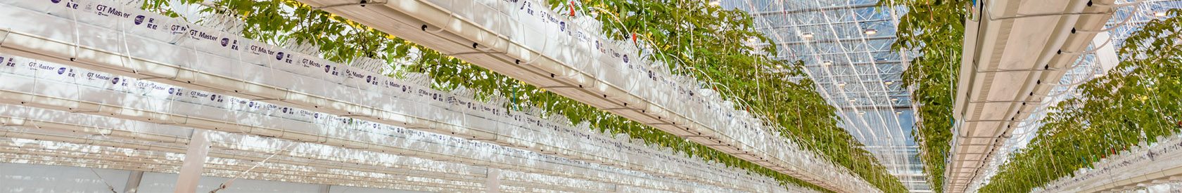 Высокие стандарты для профессиональных теплиц