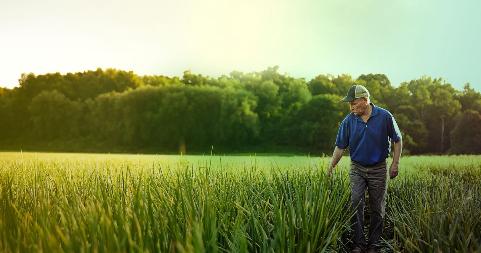 Справочники болезней