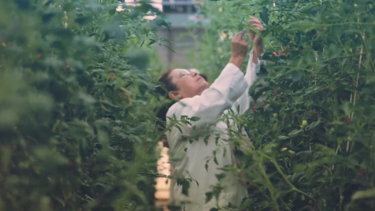 Мы считаем, что инновации без цели — это вообще не инновации