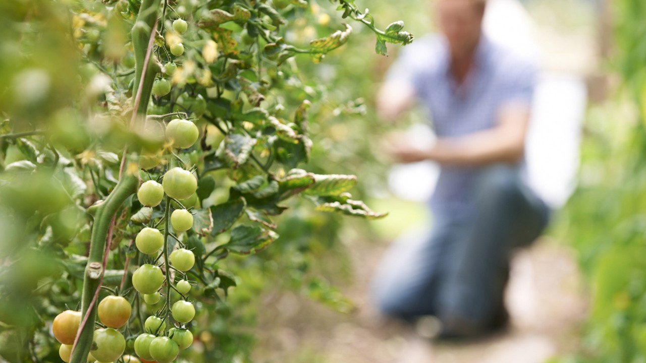 Наши обязательства перед вами