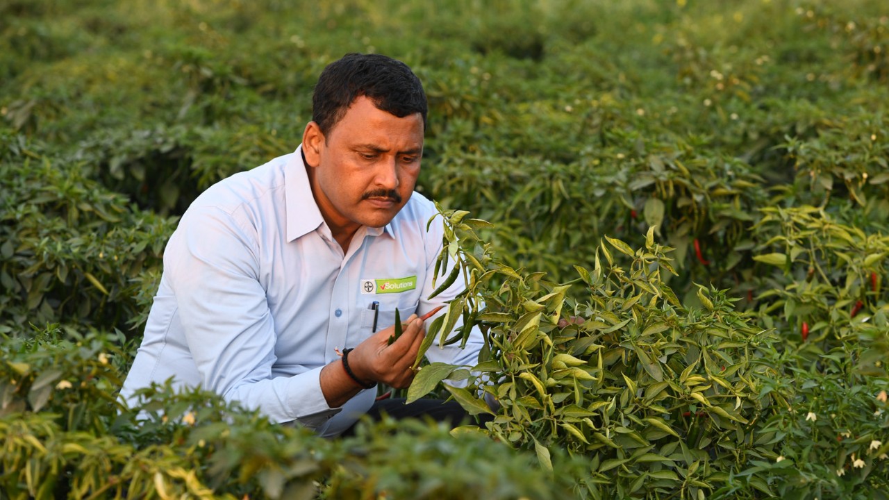 Здоровье урожая для здоровья всего мира