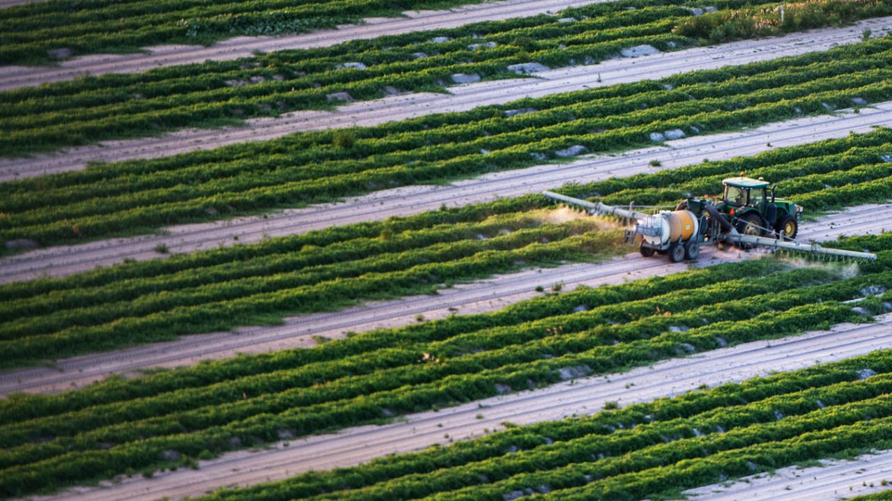 Как уменьшить непредвиденные риски с Bayer Vegetables
