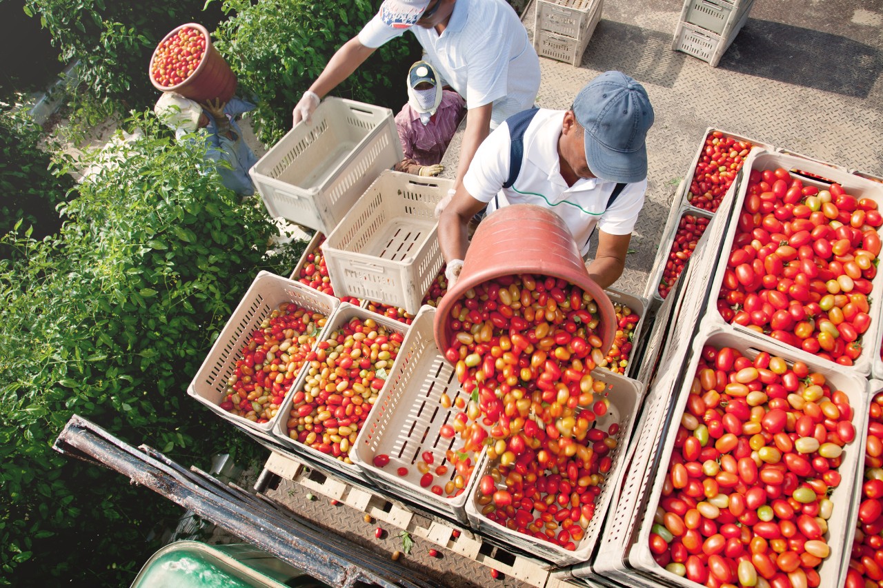Помощь в увеличении прибыли