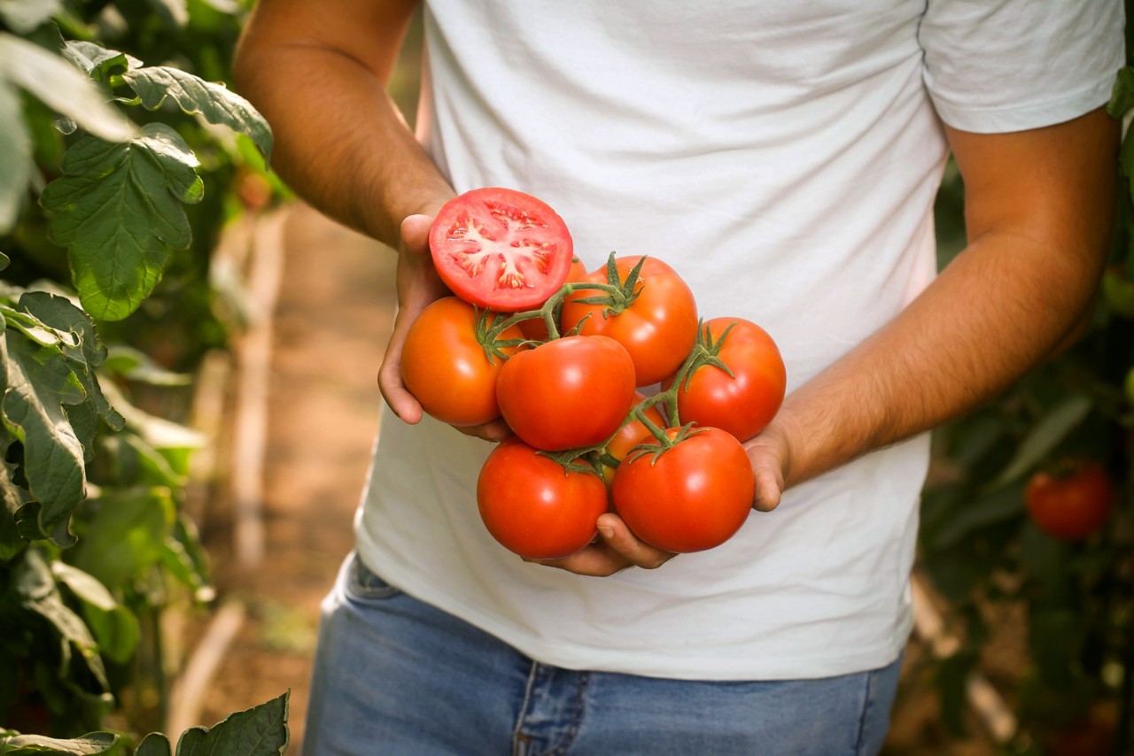 Открывая новые возможности