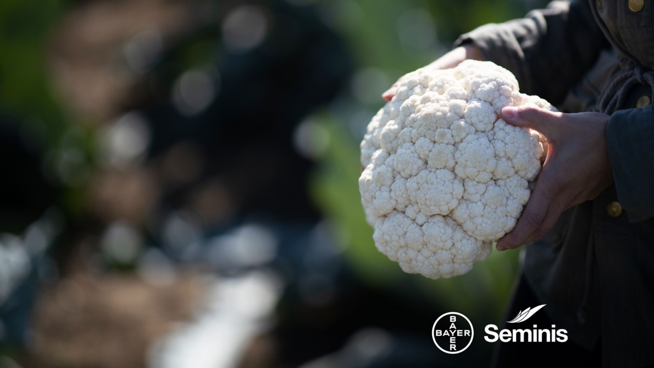 Seminis и Vegetables by Bayer