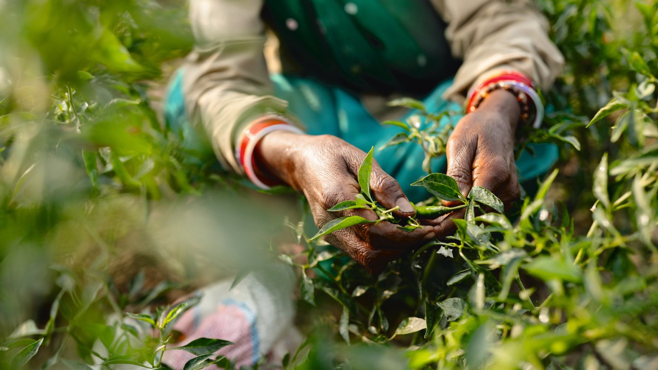 Ваш партнер по росту.