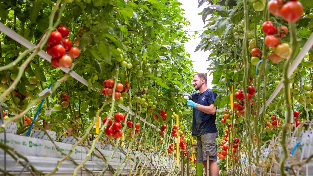 Стремление к результативности.
