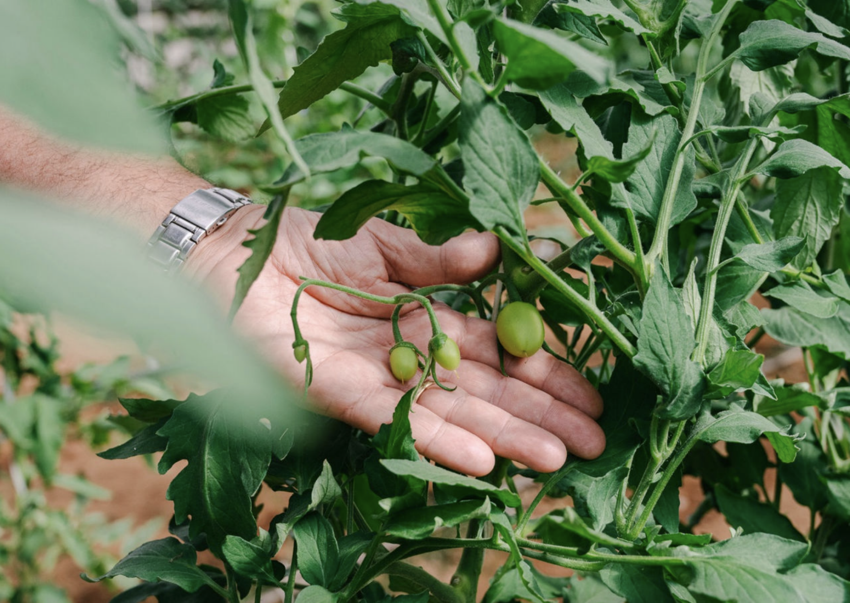 Проактивная защита каждого семени