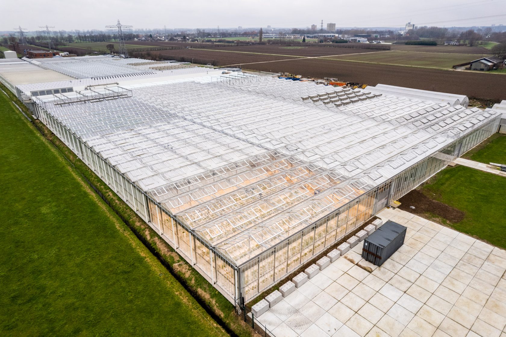 Поиск решений для борьбы с ToBRFV