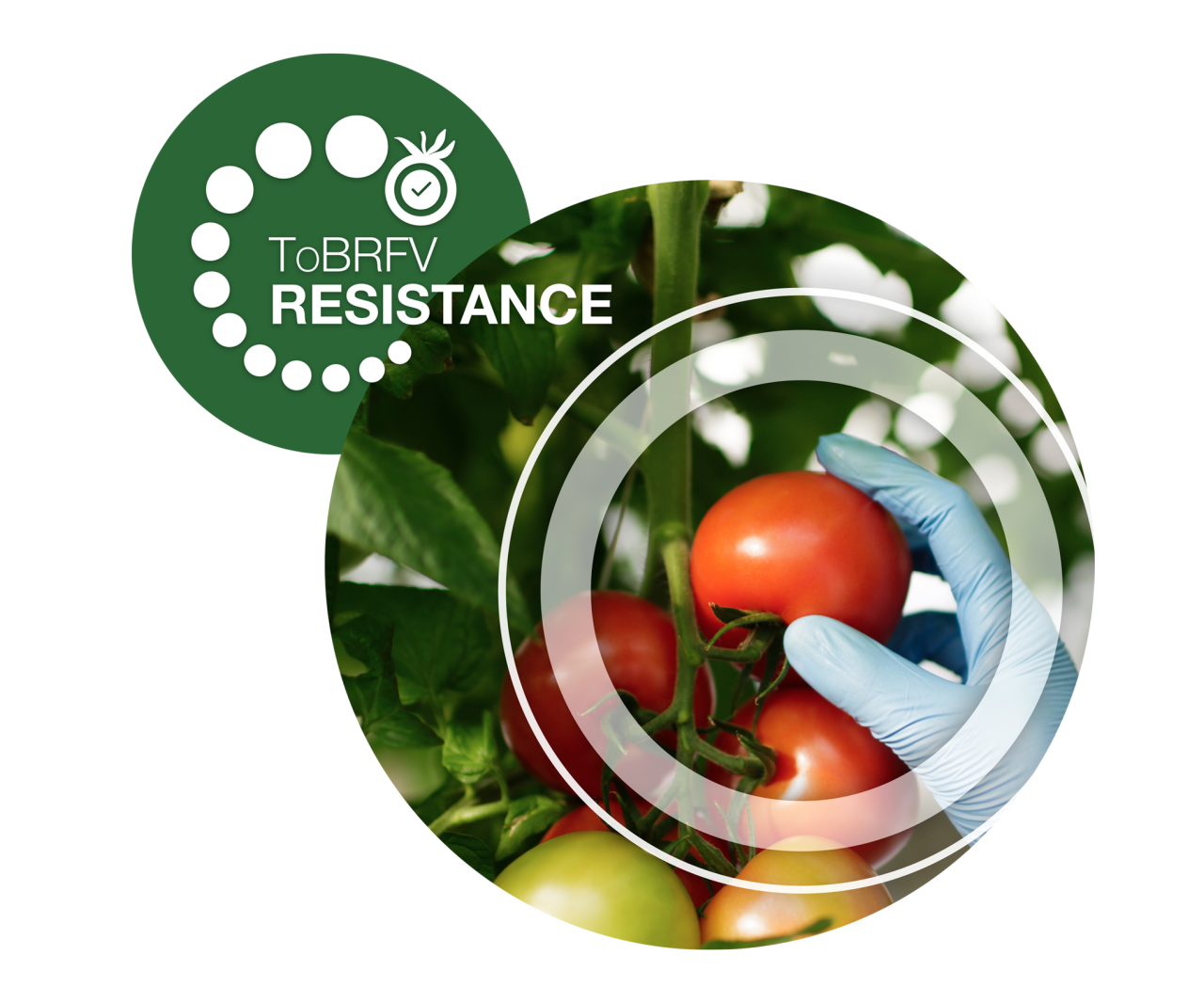 Уверенность на каждом уровне - долгосрочная устойчивость