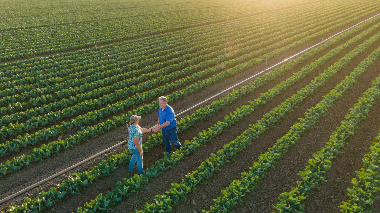 Совместная работа для успешного сотрудничества